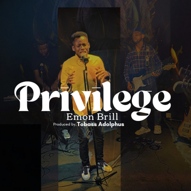 Privilege cover art