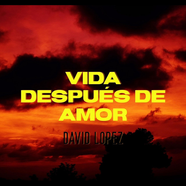 Vida Despues de Amor cover art