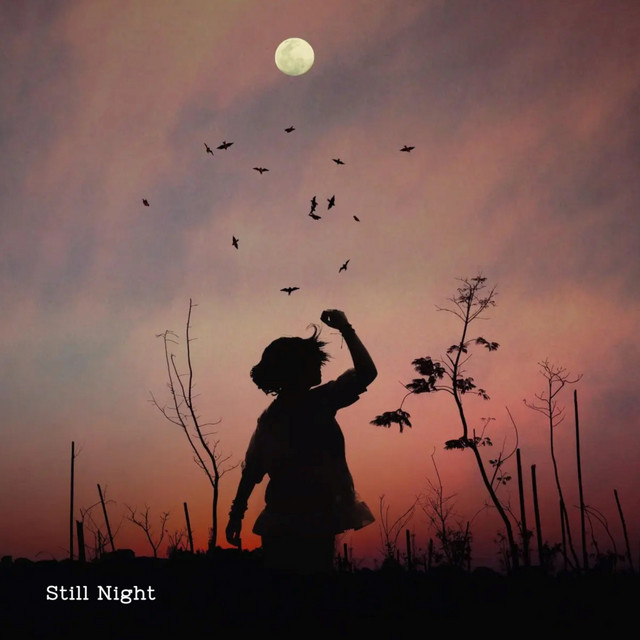 Still Night cover
