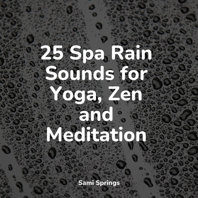 25 Spa Rain Sounds for Yoga, Zen and Meditation - Album by Alpha Waves ...