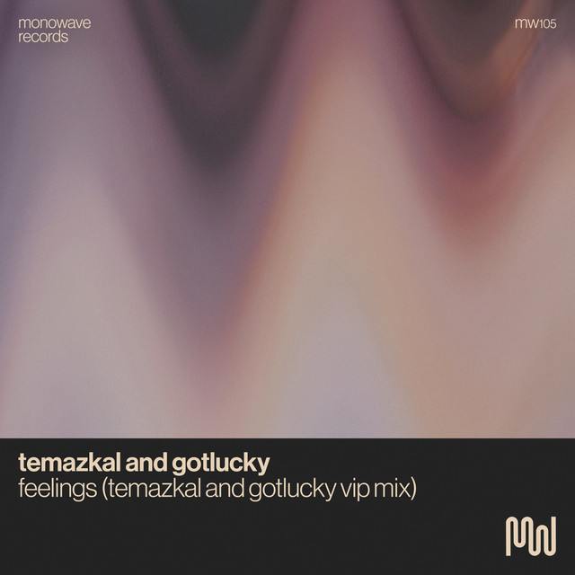 Temazkal, Gotlucky – Feelings - Temazkal & Gotlucky VIP Mix