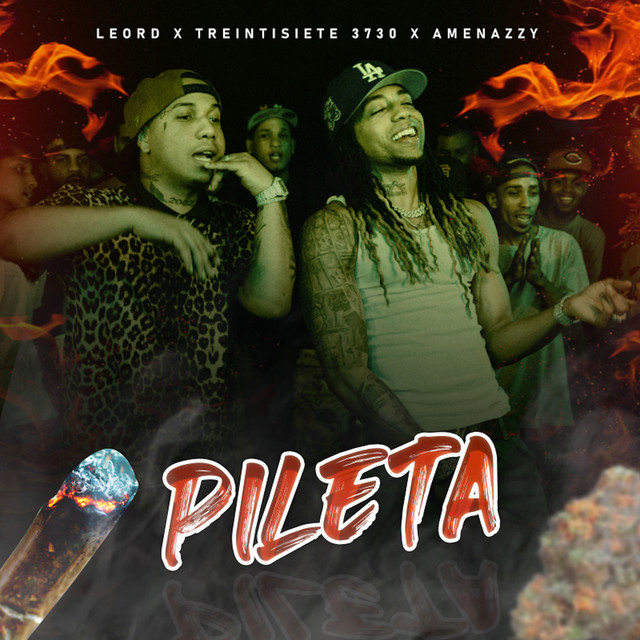 Portada de Pileta