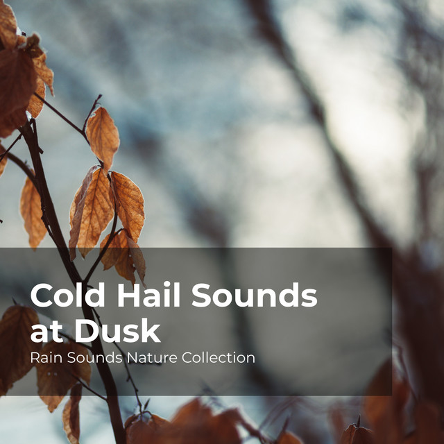Cold Hail Sounds at Dusk - Album by Rain Sounds Nature Collection | Spotify