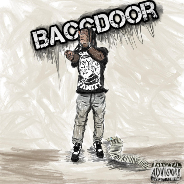 Baccdoor cover