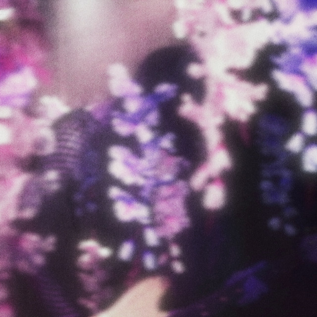bezdan cover art