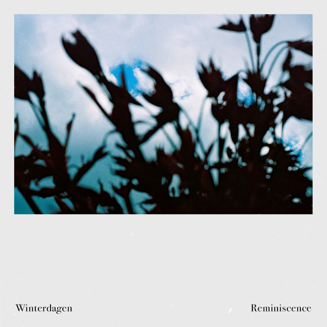 Reminiscence cover