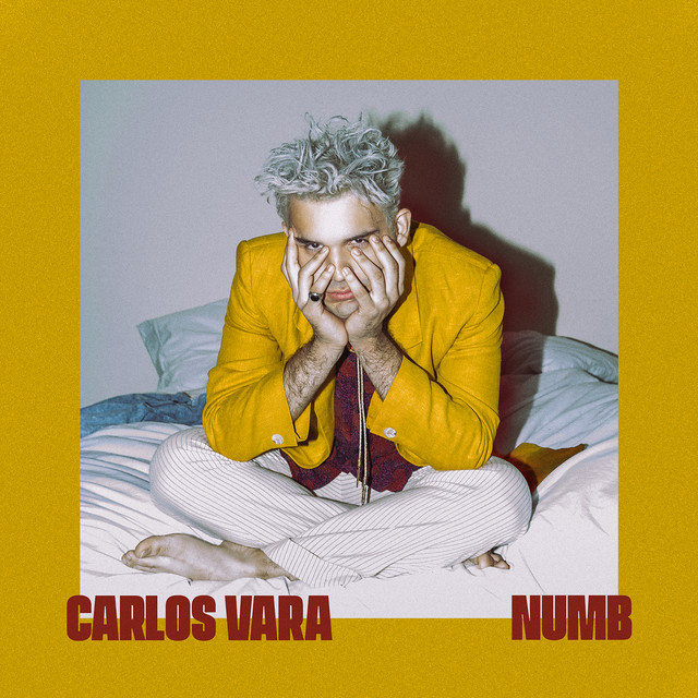 Numb cover