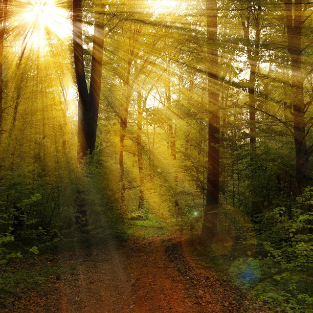 Enlightenment cover art