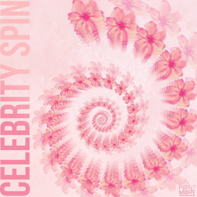 Pochette de Celebrity Spin