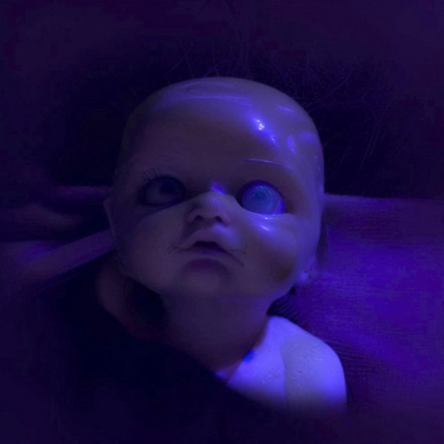 REBORN cover art