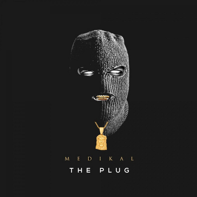The Plug cover art
