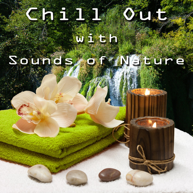 Chill Out with Earthly Echoes cover art