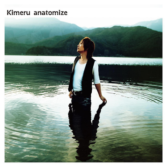 Anatomize cover art
