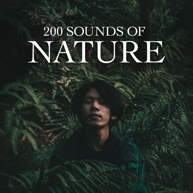 200 Sounds of Nature ! ! ! ! - Album by Nature Sounds | Spotify