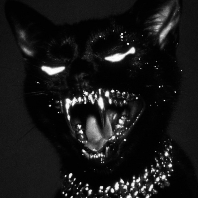 GET INTO IT cover art