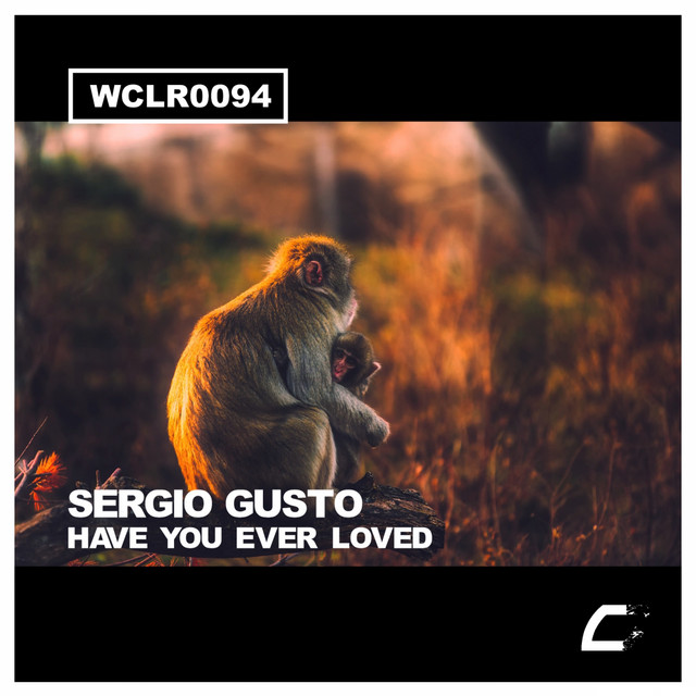Обкладинка: Have You Ever Loved — Sergio Gusto
