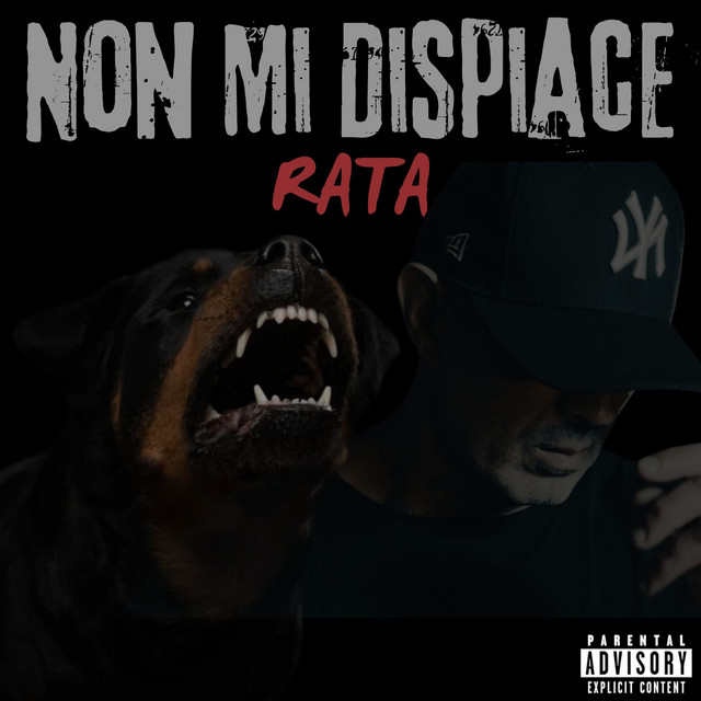 Non Mi Dispiace