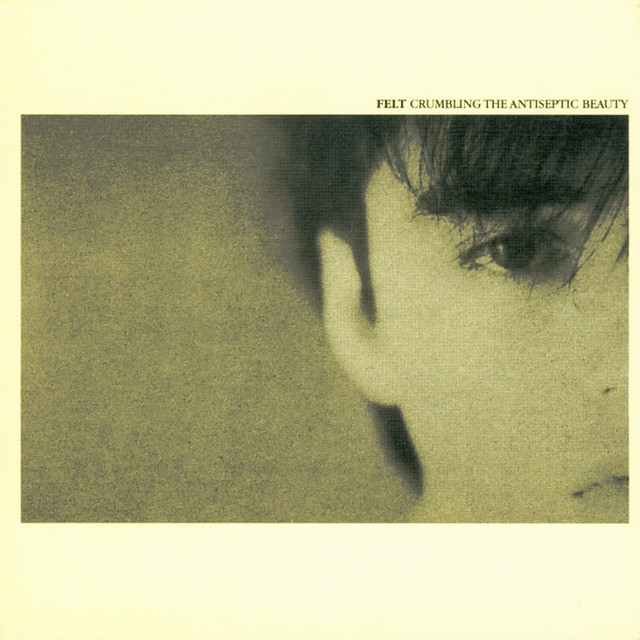 Crumbling the Antiseptic Beauty / The Splendour of Fear (Remastered Edition) cover