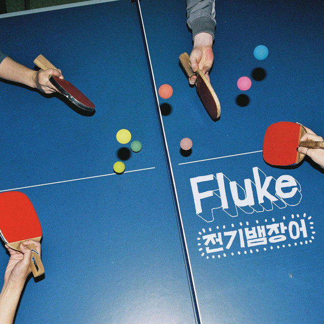 Fluke cover art