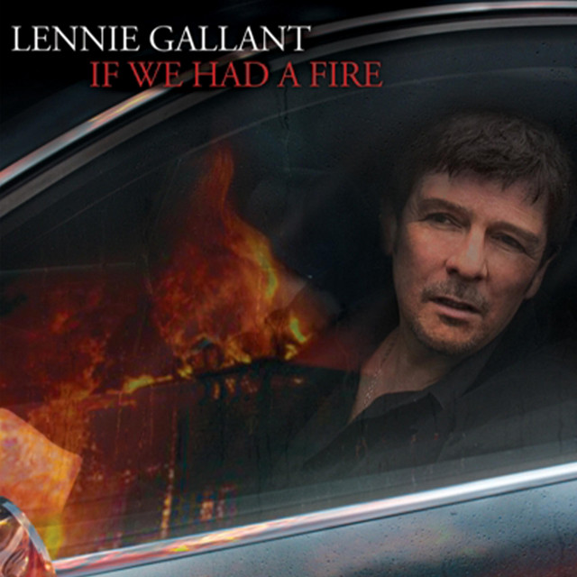 If We Had A Fire cover art
