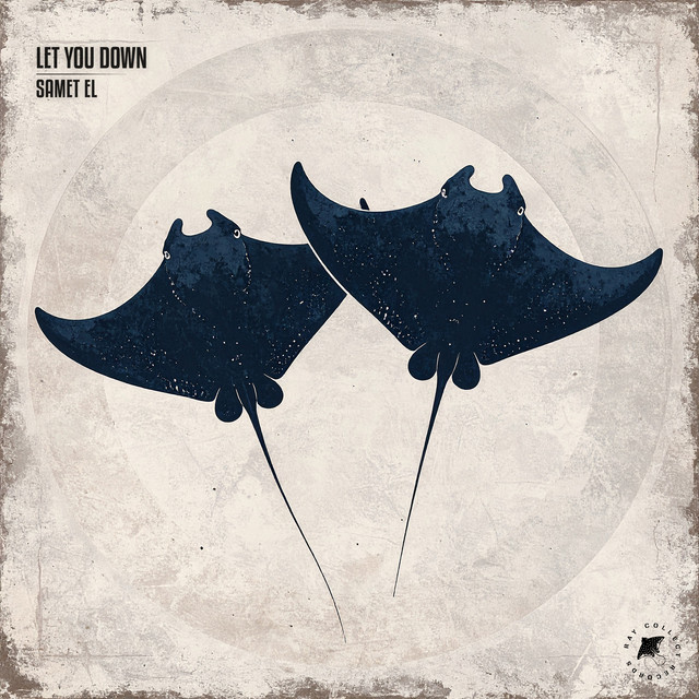 Let You Down