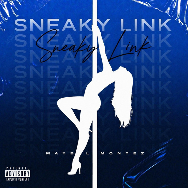Sneaky Link