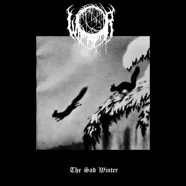 Winterr | Spotify