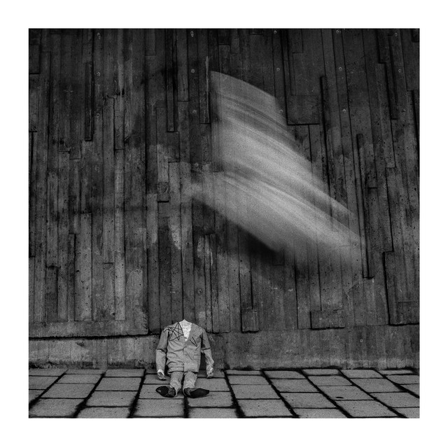 The birds cover art