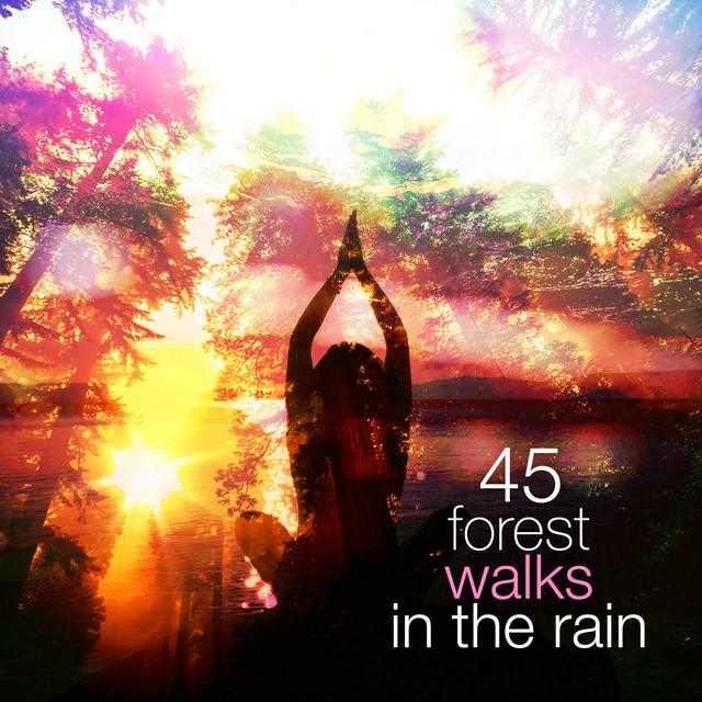 45 Forest Walks in the Rain - Album by Relaxing Rain Sounds | Spotify