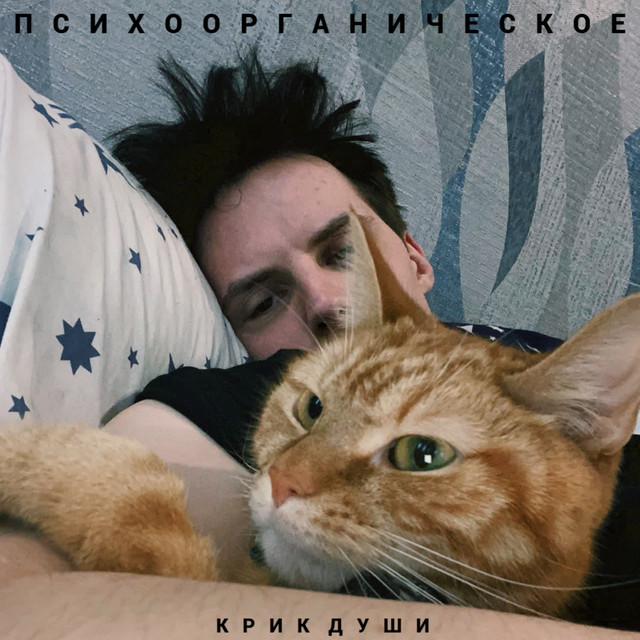 ПСИХООРГАНИЧЕСКОЕ