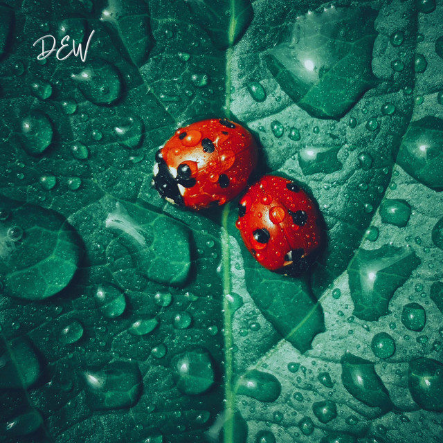 Dew