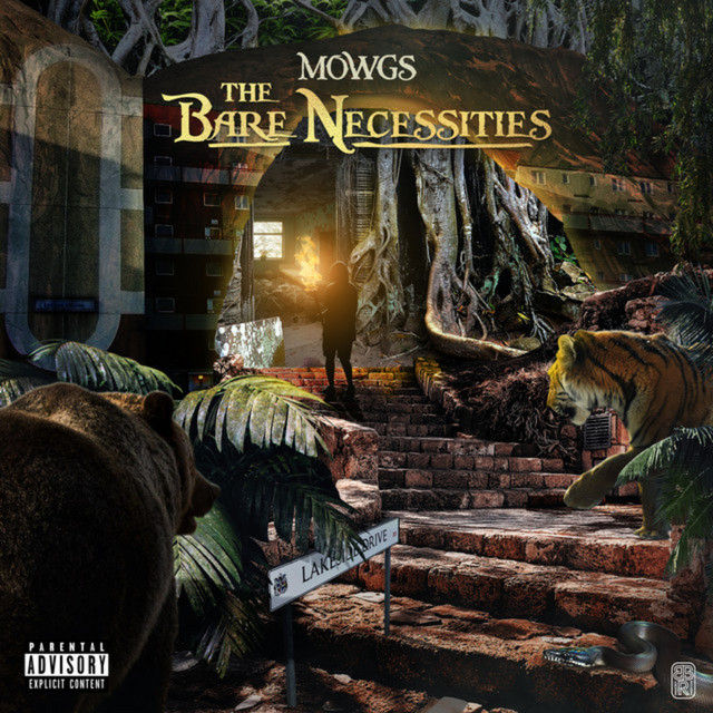 undefined album image