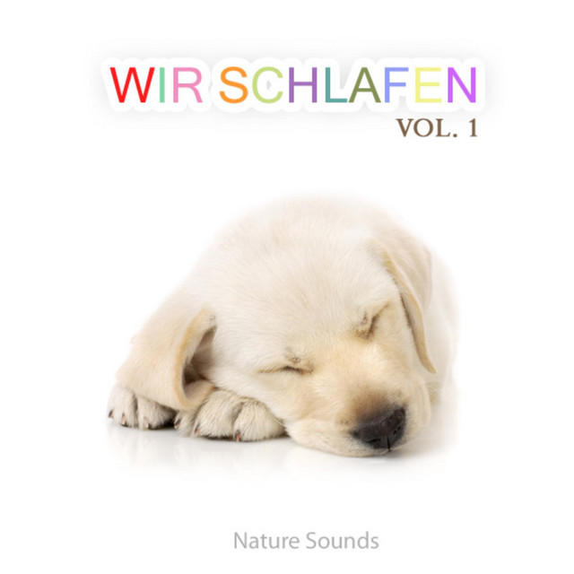 Wir Schlafen - Naturgeräusche Und Weißes Rauschen Für Kinder Und Babys Als Lieder Kinderlieder Und Schlaflieder Für Die Nacht cover art