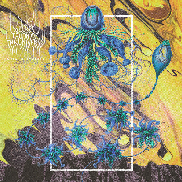 Slow Decimation cover art