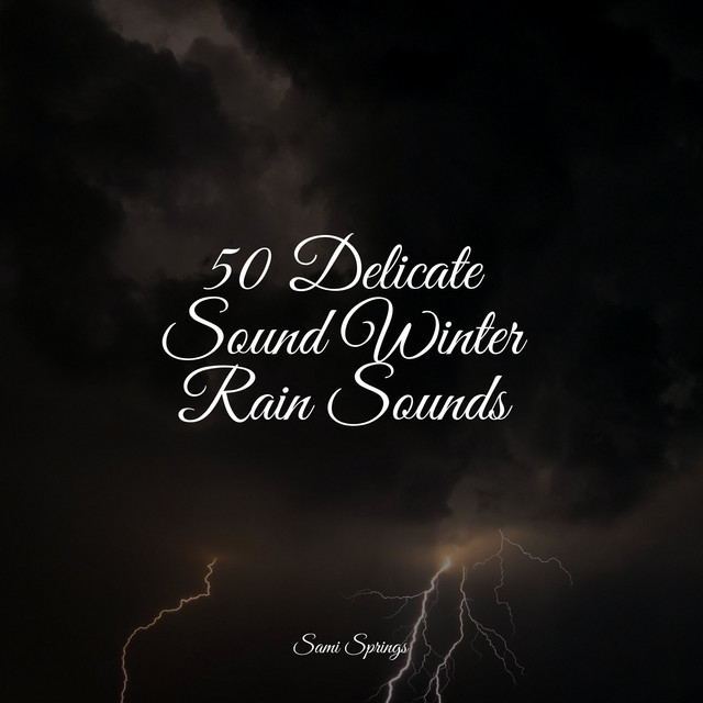 50 Delicate Sound Winter Rain Sounds - Album by Tibetan Singing Bowls ...