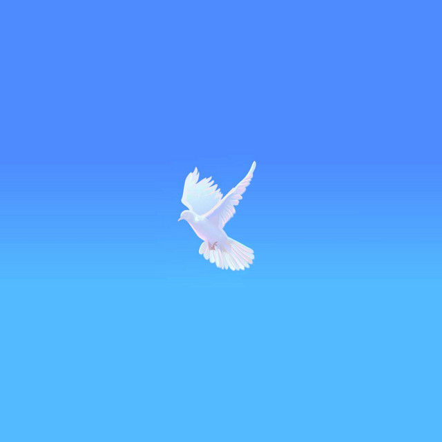 Liberty cover art