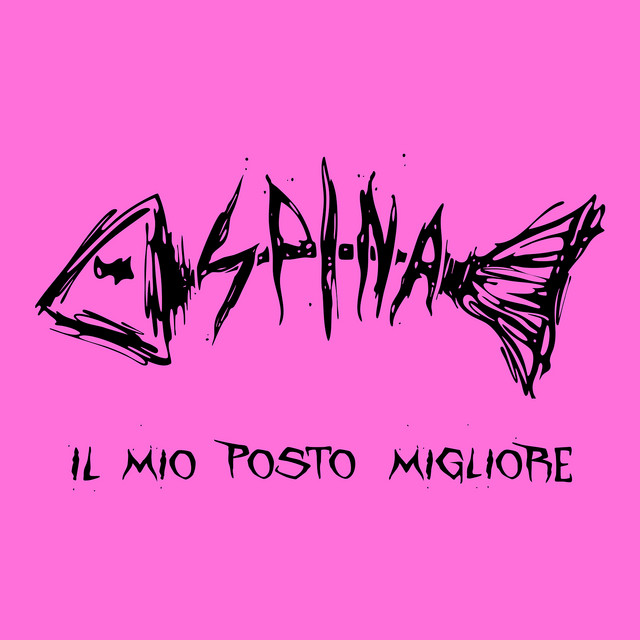 Il mio posto migliore cover art