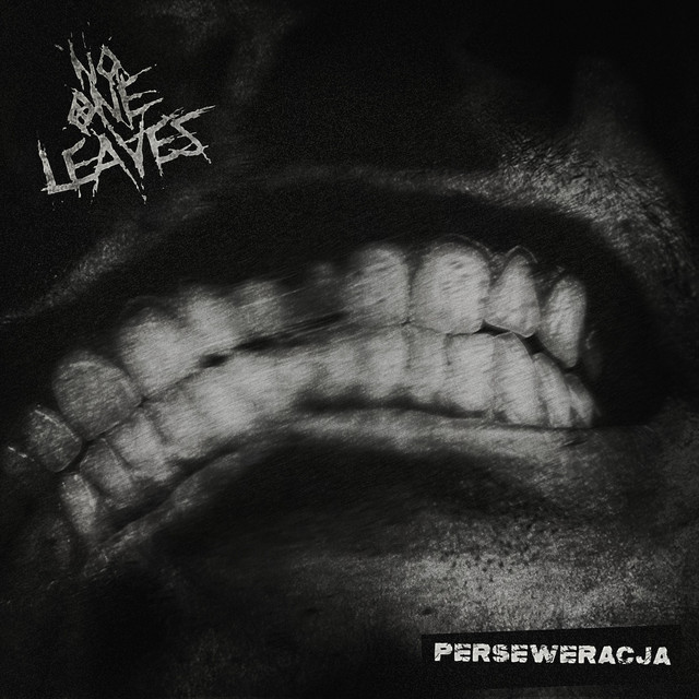 Perseweracja album image