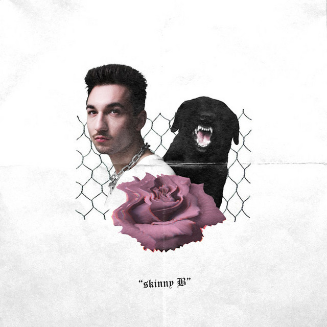 Skinny B cover art