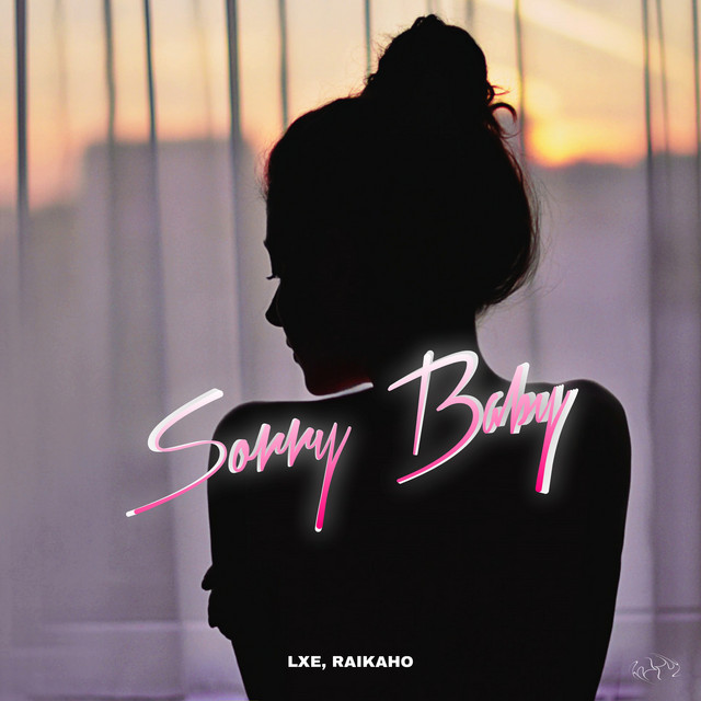 Sorry Baby cover