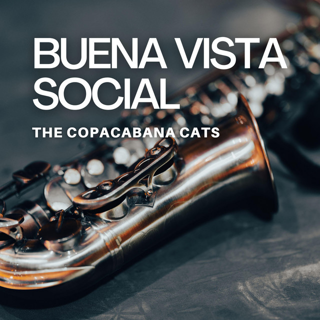 Buena Vista Social cover