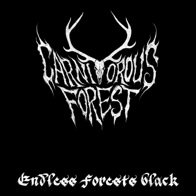 Endless Forests Black cover