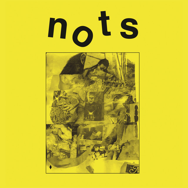 We Are Nots cover art