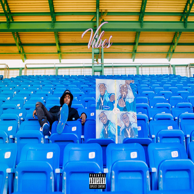 Vibes cover art