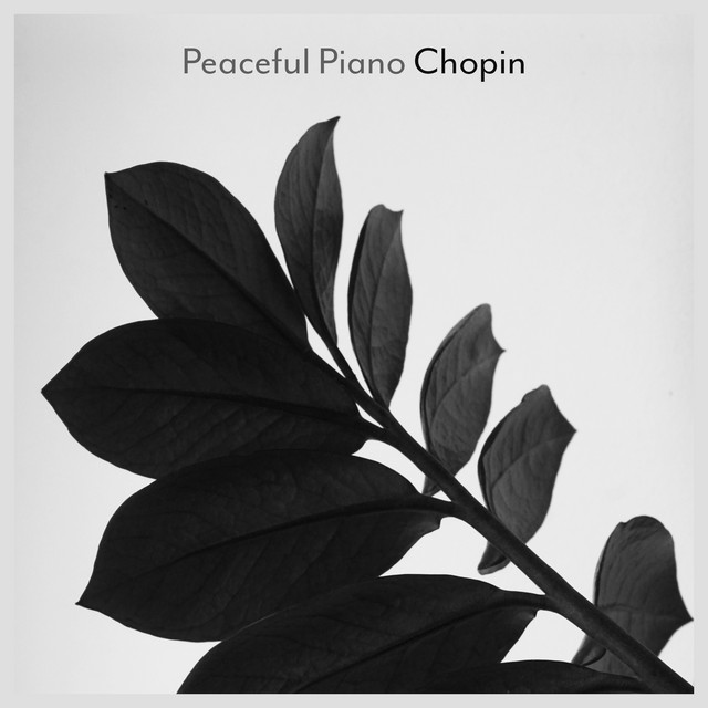 12 Études, Op. 10: No. 1 in C Major "Waterfall"
