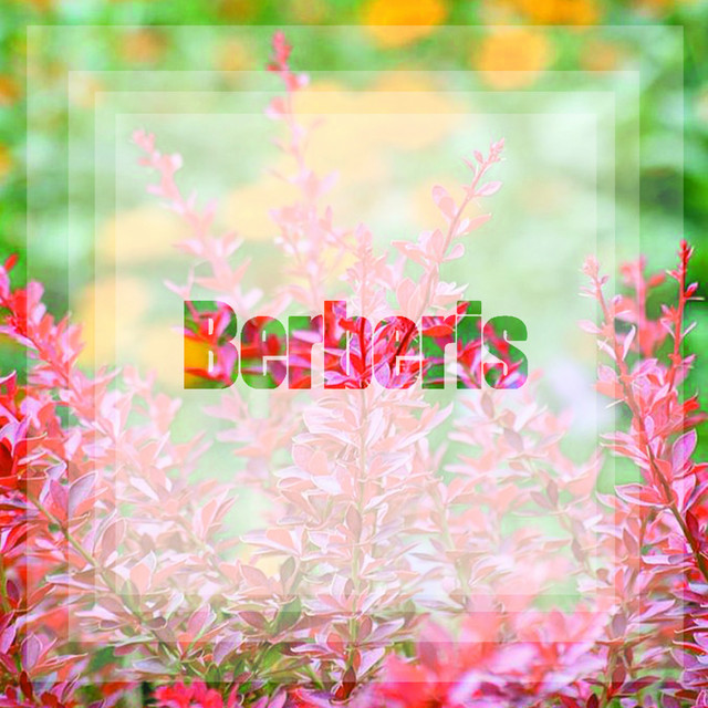 How About You EP cover art
