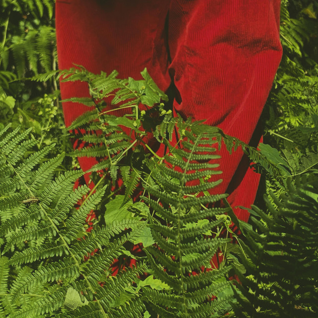 Pra se dar cover art