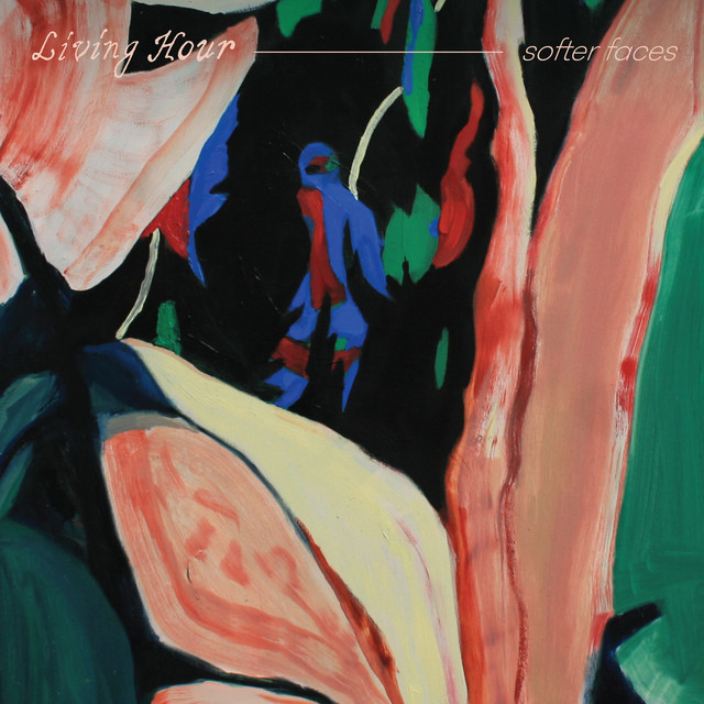 Softer Faces cover
