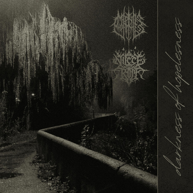 Обкладинка: darkness of hopelessness — NiceTrip
