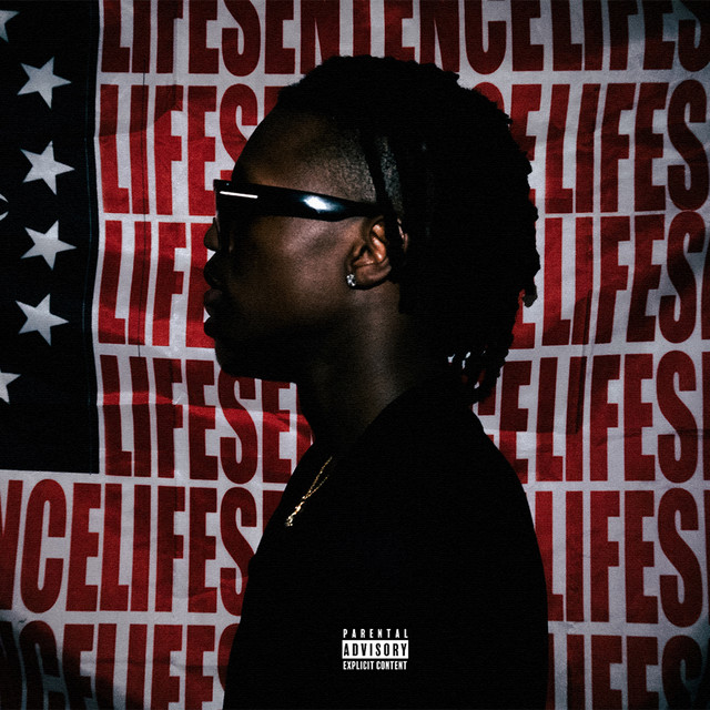 Life sentence DLX cover art